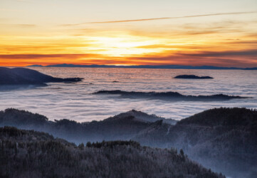 Nebel Meer