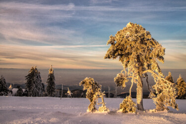 Nord Schwarzwald