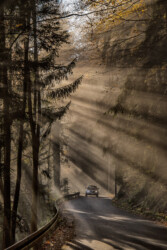 Lichtstrahlen II.