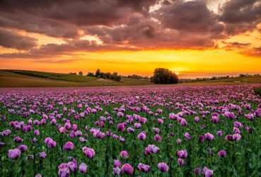 Sommerinspiration.