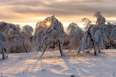 Winter auf der Hornisgrinde.