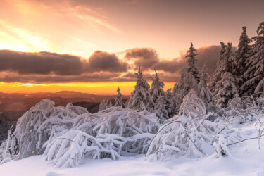 Schwarzwald Sonnenuntergang.