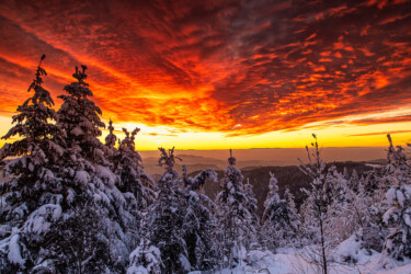 Realistische sonder Stimmung.