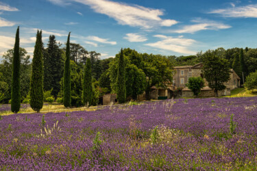 Provence.