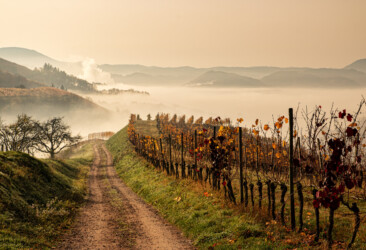 Nebel im Tal.